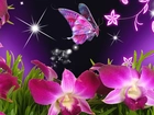Kwiaty, Motyl, Art