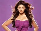 Richa Gangopadhyay, Aktorka, Indie, Sukienka