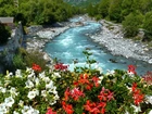 Rzeka, Kamienie, Kwiaty