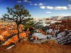 Utah, Kanion, Drzewo, Śnieg