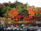 Japonia, Kyoto, Rzeka, Kolorowe, Drzewa