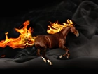 Koń, Galop, Ogień