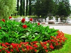 Park, Klomb, Czerwone, Kwiaty, Fontanna