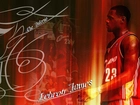 Koszykówka,koszykarz ,Lebris James