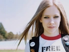 Avril Lavigne, Koszulka, Free