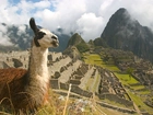 Machu Picchu, Lama, Chmury