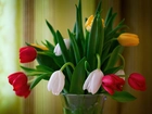 Kolorowe, Tulipany, Wazon