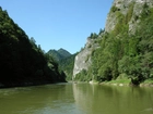 Dunajec, Góry, Drzewa