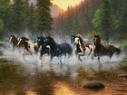 Konie, Rzeka, Las, Galop
