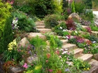 Ogród, Kwiaty, Schody, Kamienie