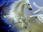 Koń, Ptaki, Białe, Orły, Kwiaty