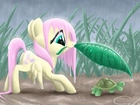 My Little Pony, Przyjaźń To Magia, Fluttershy