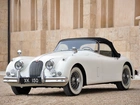 Jaguar XK150, Klasyk, Auto