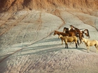 Konie, Mustangi, Góry