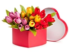 Kolorowe, Tulipany, Pudełko, Serce