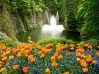 Wodospad, Tulipany, Niezapominajki