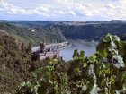 Mittelrhein Burg Katz, Drzewa, Woda, Góry