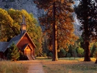 Stany Zjednoczone, Stan Kalifornia, Park Narodowy Yosemite, Kościółek Yosemite Valley Chapel, Drzewa