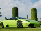 Zielone, Lamborghini