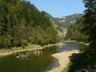 Dunajec, Spływ, Góry, Drzewa