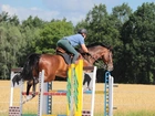 Trening, Koń, Jeździec, Skok, Przeszkoda, Sport