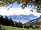 Ibergeregg, Szwajcaria, Góry, Drzewa, Trawa