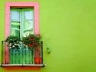 Balkon, Kwiaty, Pelargonia