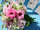 Bukiet, Różowych, Kwiatów