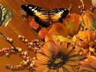 Jesienne, Kwiaty, Motyle