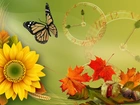 Słonecznik, Liście, Motyl, Jesień, Grafika