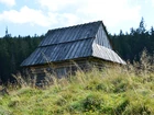 Bacówka, Las, Zakopane, Polska