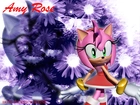 Amy Rose, Sonic