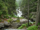 Tatry, Słowacja, Potok Studencki