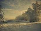 Zima, Mróz, Śnieg, Drzewa, Ławka