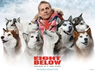 Eight Below, Paul Walker, psy