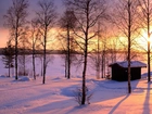 Drzewa, Śnieg, Zachód Słońca
