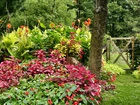 Ogród, Kolorowe, Kwiaty, Furtka