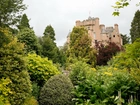 Zamek, Crathes, Szkocja, Ogród