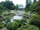 Ogród, Japoński Domek, Zieleń