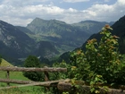 Au Vorarlberg, Austria, Zagroda, Rośliny
