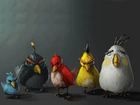 Angry birds, Ptaki