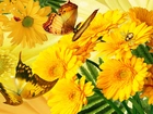 Żółte, Gerbery, Motyle, Art