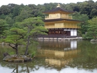Jezioro, Drzewa, Złoty, Pawilon, Kioto