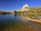 Stany Zjednoczone, Stan Kalifornia, Park Narodowy Yosemite, Jezioro, Góra Cathedral Peak, Drzewa