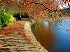 Rzeka, Bulwar, Jesień, Liście, Drzewa
