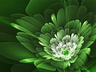 Zielony, Kwiat, Grafika