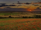 Pola, Łąki, Zachód, Słońca, Panorama