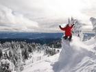 Snowboarding, Ośnieżone, Góry, Śnieg, Las