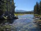 Rzeka, Kamienie, Las, Kalifornia