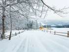 Droga, Drzewa, Śnieg, Domy, Zima